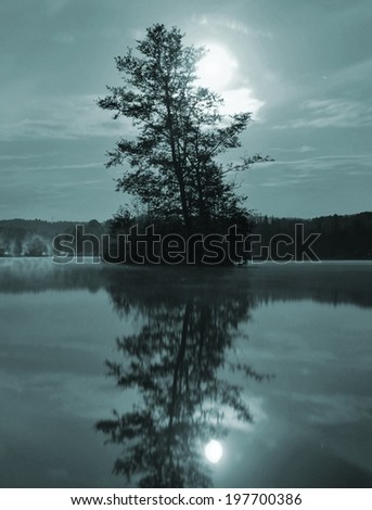 Blue night view to island with tree above water level. Full moon