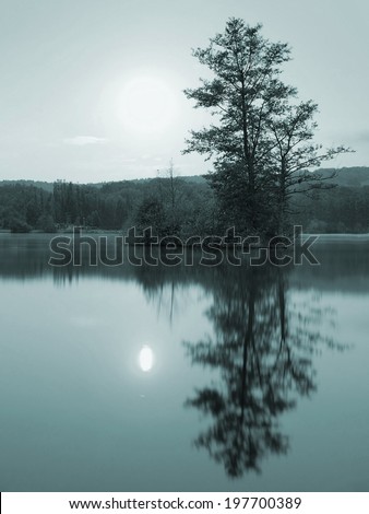 Blue night view to island with tree above water level. Full moon