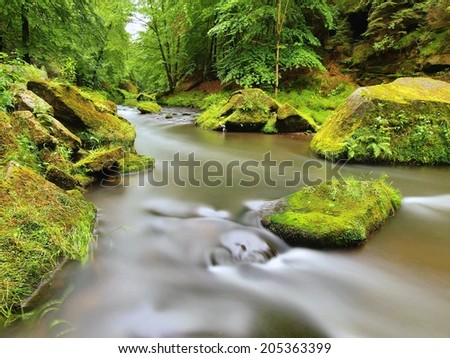 Mountain river with big mossy boulders under fresh green trees. Fresh spring air in the evening after rainy day.