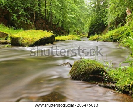 Mountain river with big mossy boulders in stream.  Branches of trees with fresh green leaves. Fresh spring air in the evening after rainy day.