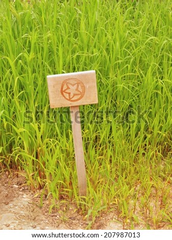 Wooden sign on short column at field with herbs. Mark of flowers painted on wooden table. traditional garden with herbs.