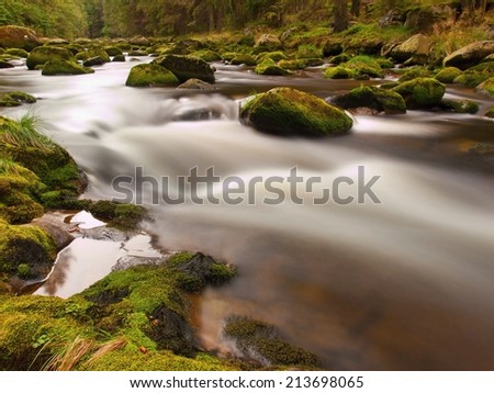 Autumn mountain river with blurred waves, water is running between mossy boulders and bubbles create trails on level.