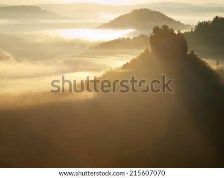 Dreamy misty  landscape. Majestic mountain cut the lighting mist. Deep valley is full of colorful fog and rocky hills are sticking up to Sun. Magnificent autumn morning.