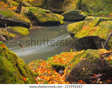 Big boulders with fallen leaves. Autumn mountain river banks. Gravel and fresh green mossy boulders  on river banks covered with colorful leaves from beeches, maples and birches.