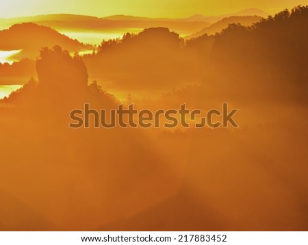 Dreamy misty landscape. Majestic mountain cut the lighting mist. Deep valley is full of colorful fog and rocky hills are sticking up to Sun. Magnificent autumn morning.