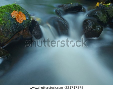 Cascade on small mountain stream, water is running over mossy sandstone boulders and bubbles create on level milky water. Colorful leaves from maple or aspen tree on stones  into water.