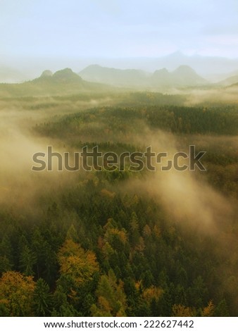 Autumn melancholic morning. View into long deep valley full of heavy colorful mist. Autumn landscape within daybreak after rainy night