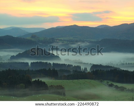 Autumn fogy countryside. View into long foggy valley full of colorful mist. Autumn melancholic landscape after rainy night.