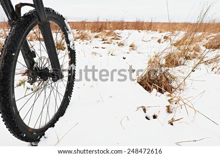 The front wheel of mountain bike in the first snow. Dark foggy weather in the forest. Melted snow flakes on tyre.