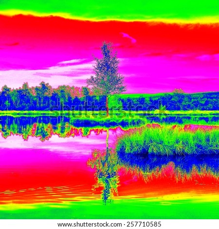 Mountain lake in middle of swamp with small island. Boulders and water level in shadows of trees. Sky in mirror of water level.  Strange colors of thermography photo.
