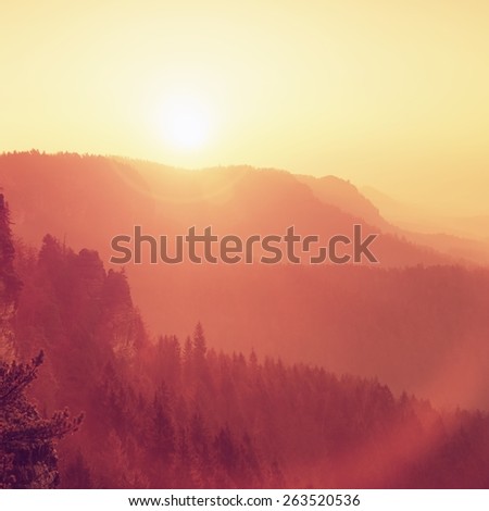 Marvelous daybreak above valley full of colorful mist. Peaks of high trees are sticking up to sky. Romantic autumn.