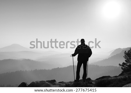 Man hiker legs in boots and poles stand on mountain peak rock. Small pine bonsai tree grows in rock. Black and white photo