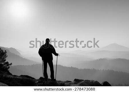 Man hiker legs in boots and poles stand on mountain peak rock. Small pine bonsai tree grows in rock. Black and white photo