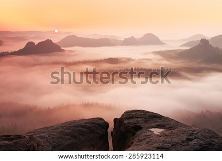 Dreamy misty landscape. Majestic mountain cut the lighting mist. Deep valley is full of colorful fog and rocky hills are sticking up to Sun.
