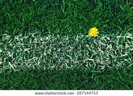 Cross of painted white lines on natural football grass. Artificial green turf texture.