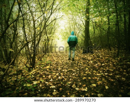 Hunched man is walking in colorful forest in autumn mist