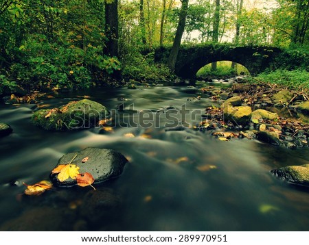 Old stony bridge above autumn river. Water of stream full of colorful leaves, leaves on gravel, blue blurred water.