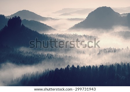 Fairy daybreak in a beautiful hills. Peaks of hills are sticking out from foggy background, the fog is yellow and orange due to sun rays. The fog is swinging between trees.