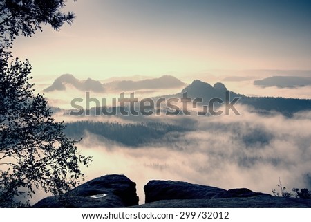 Deep misty valley within daybreak. Foggy and misty morning on the sandstone view point in national park Saxony Switzerland in Germany.