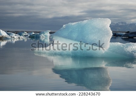 Blocks of ice floating in Jokulsarlon glacial lagoon, Iceland