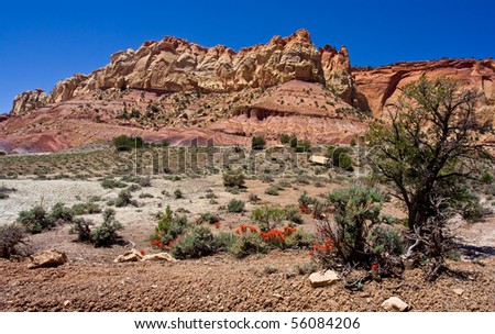 Earth\'s crust near Capitol Reef National Park