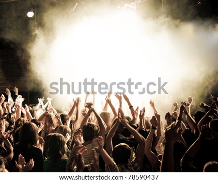 Party people at a concert