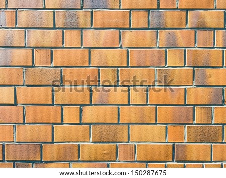 Wall with bricks and mortar joints in sunshine