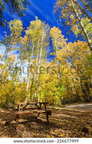Hope Valley Campground in fall color