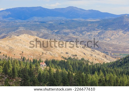 House in Carson city with forest and desert