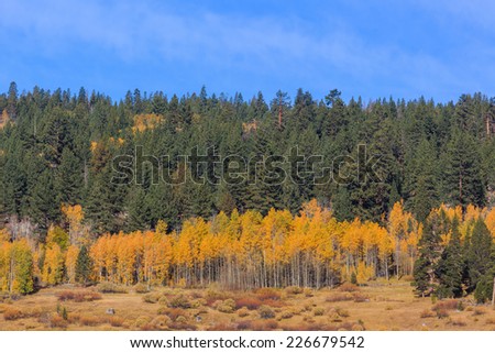 Hope Valley in Fall color