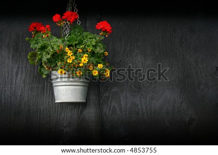 Detail of a flower bucket hanging against a wooden black, wallpaper