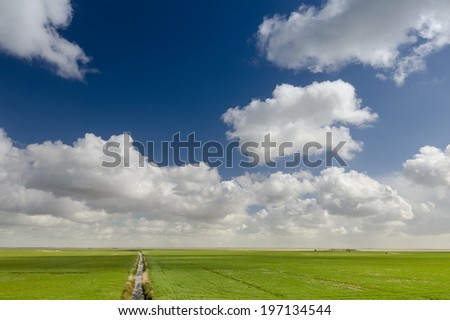 Beautiful green flat landscape with deep blue sky and clouds
