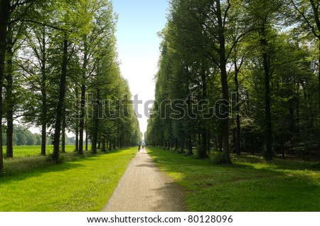 Perfect straight path along the edge of a forest and meadow