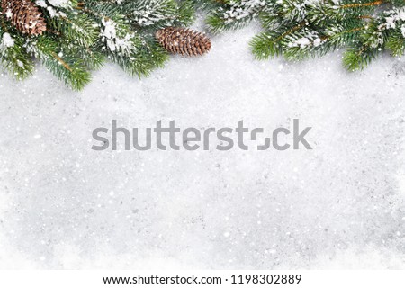 Christmas fir tree branch covered by snow on stone background. Xmas backdrop for your greeting card with space for text