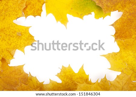 Autumn yellow leaves closeup frame