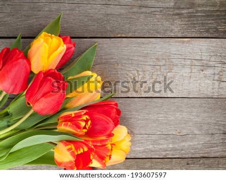 Fresh colorful tulips over wooden background with copy space