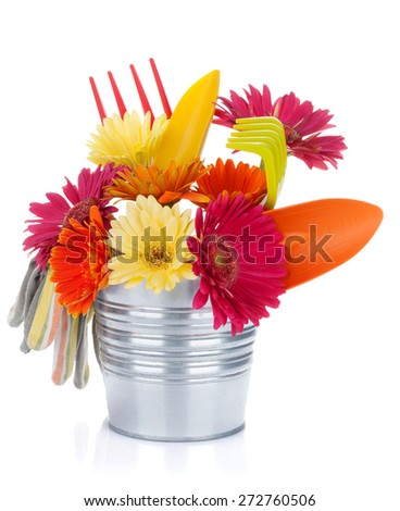 Colorful flowers and garden tools. Isolated on white background