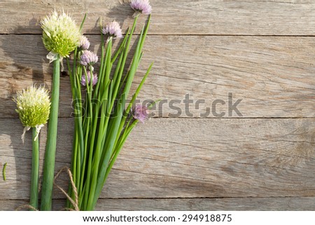 Fresh garden spring onion on garden table. Top view with copy space
