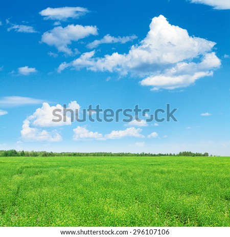 Summer landscape with green grass field and blue sky with clouds