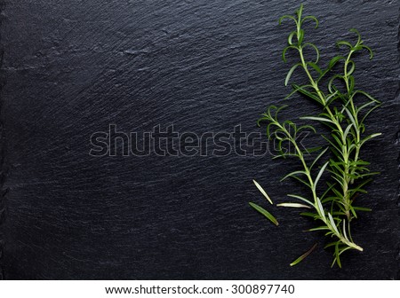 Rosemary herb on stone table. Top view with copy space