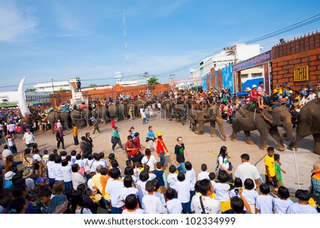 SURIN, THAILAND - NOVEMBER 19, 2010: Special elephant breakfast is served at the end of the parade as spectators watch at the annual Surin Elephant Roundup on November 19, 2010 in Surin, Thailand