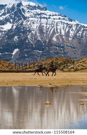 DHANKAR, INDIA - JUNE 7: Unidentified Buddhist pilgrims ride horses on pilgrimage to a holy lake among the Himalayan mountains in the Spiti Valley on June 7, 2009 in Dhankar, India