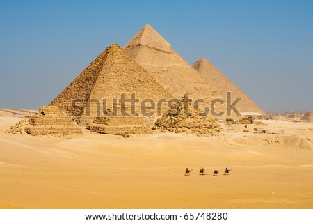 A row of camels transport tourists in front of all of the Giza Pyramids in Cairo, Egypt