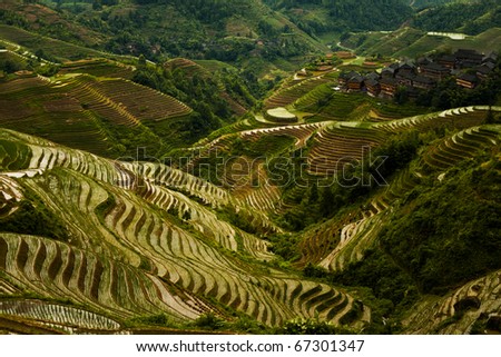 A steep set of flooded rice terraces stand next to a traditional village on an overcast day in Titian Longji, the Dragon\'s Backbone in Guanxi, China