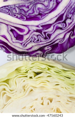 White and purple cabbage cut surfaces illustrate the layers and texture within the cabbage