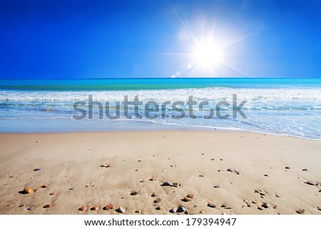 radiant light day on the beach