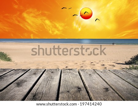 the sun rises on the sand of the beach