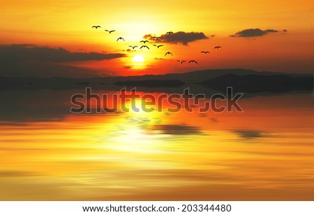 dyed golden dawn sea