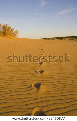 Steps in the gobi desert mongolia