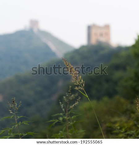Plant with Jinshanling to Simatai section of Great Wall Of China in the background, Miyun County, Beijing, China